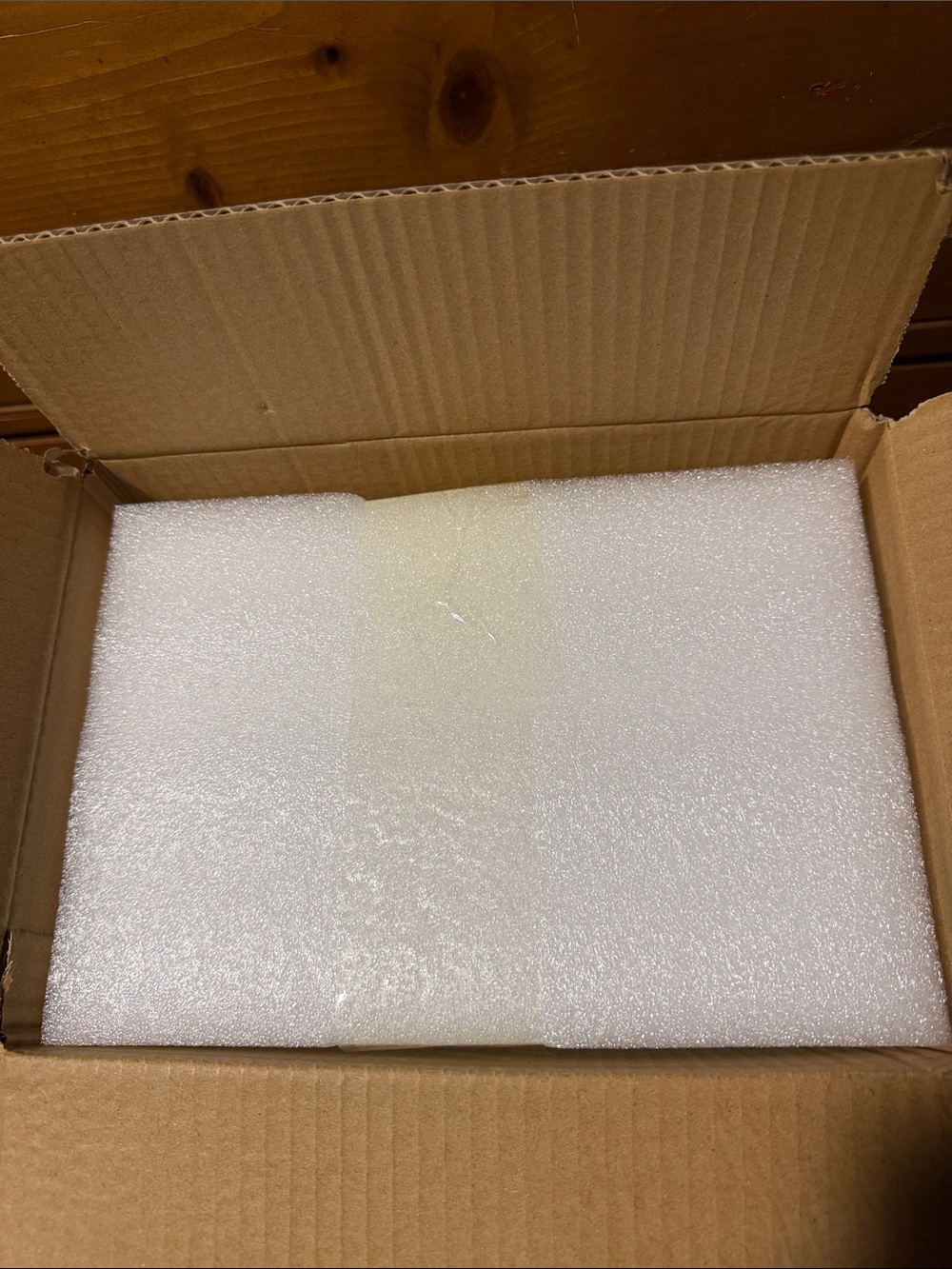 West Elm Clear Glass Bud Vase with Black Spider 🕷️ Accent BNIB - Picture 7 of 7